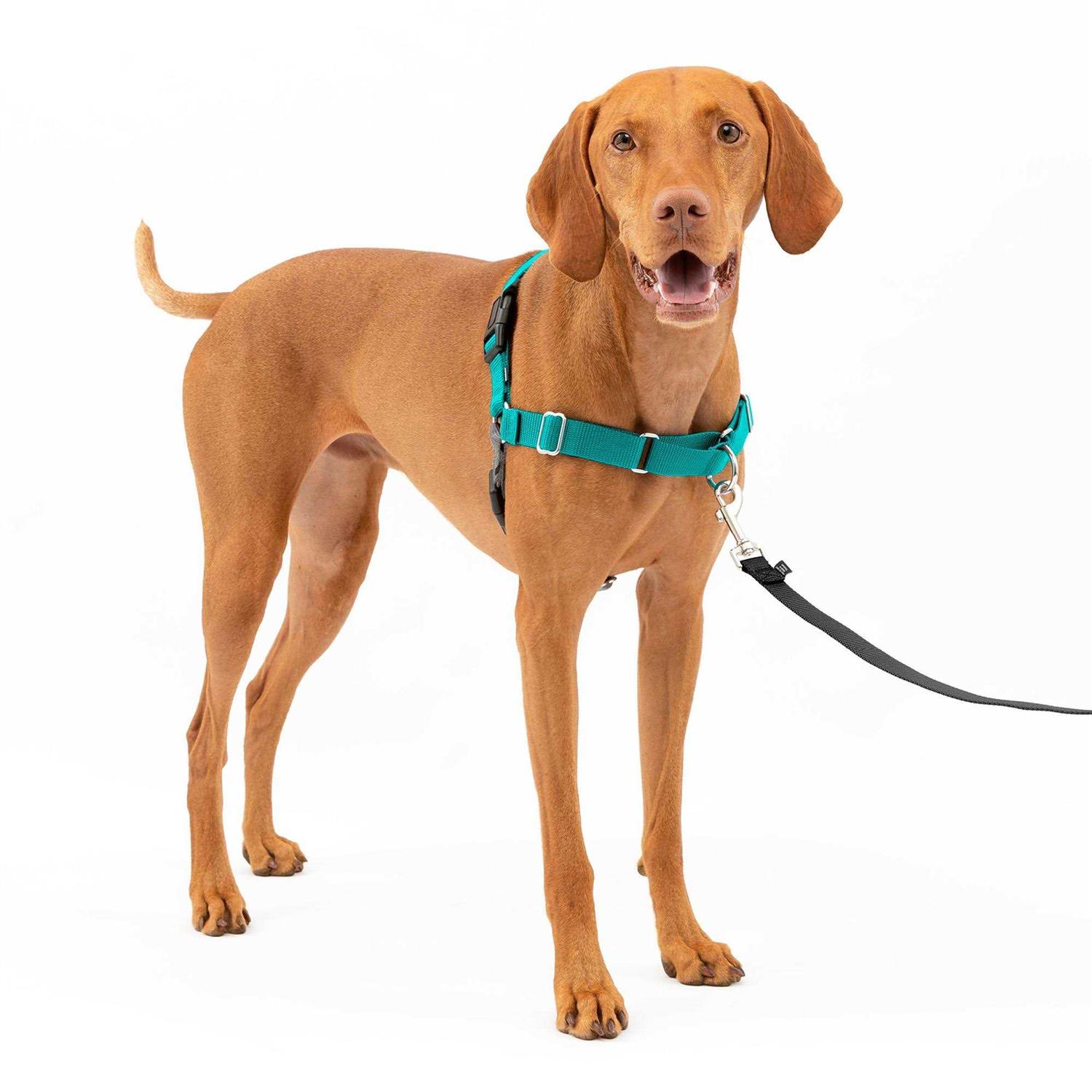 PetSafe Easy Walk Dog Harness