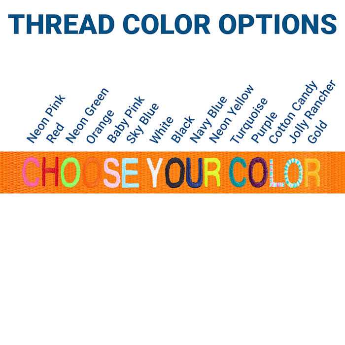 Alternative view of GoTags Nylon Personalized Dog Collar