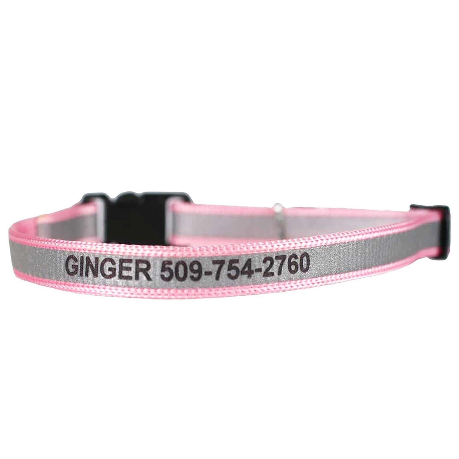 GoTags Nylon Personalized Breakaway Cat Collar with Bell