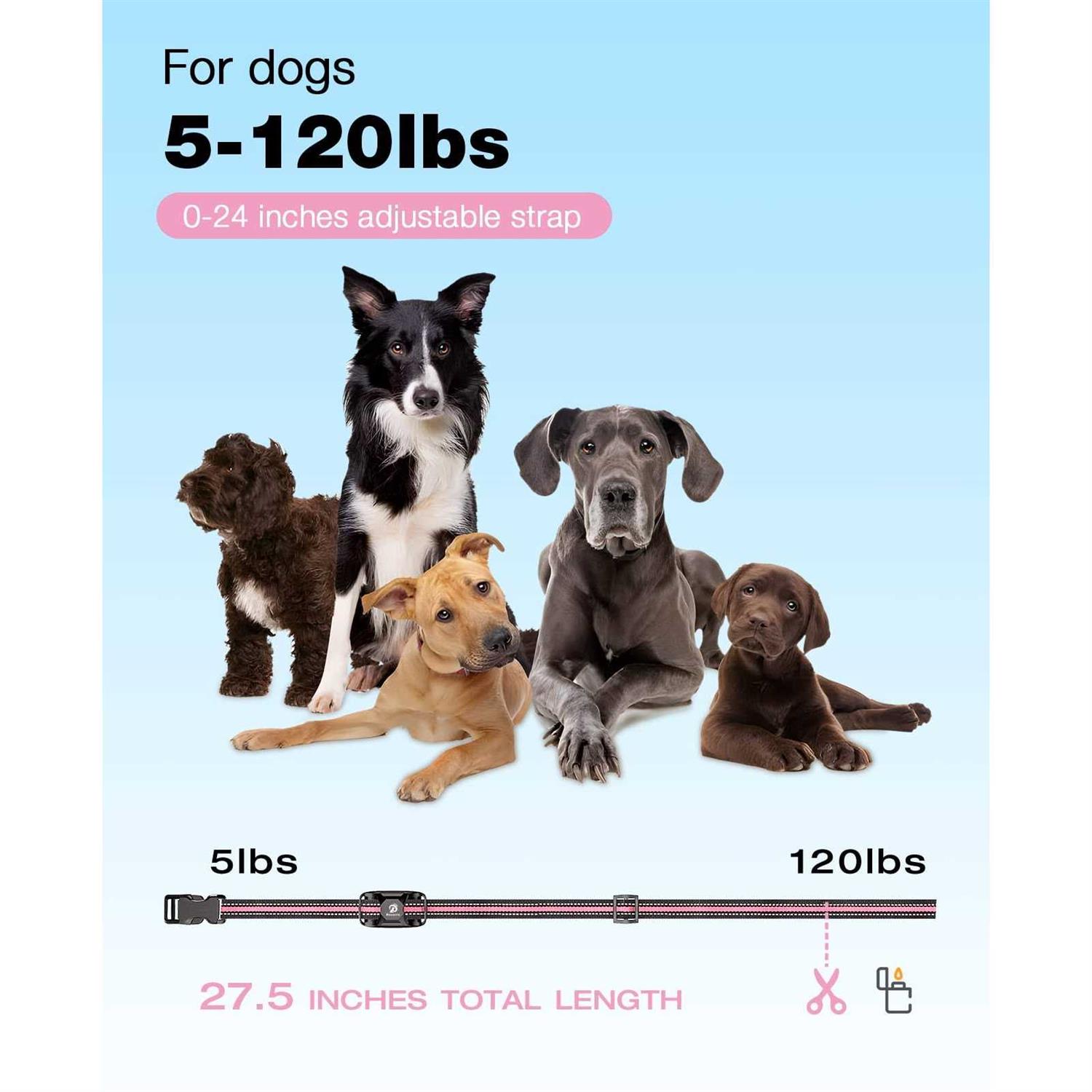 Alternative view of Bousnic Dog Shock collar 3300Ft Dog Training collar with Remote for 5-120lbs Small Medium Large Dogs Rechargeable