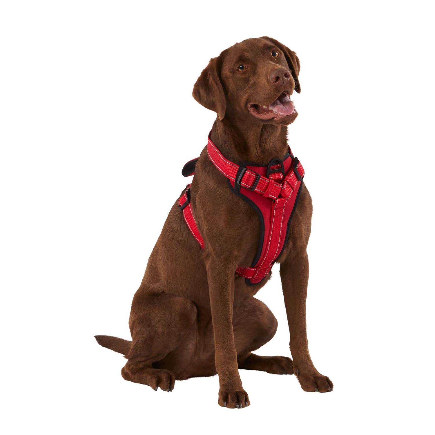Alternative view of KONG MAX Neoprene Padded Dog Harness