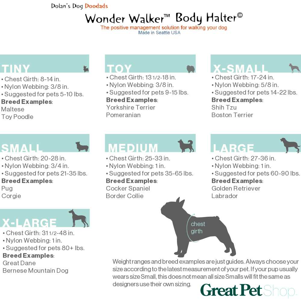 Alternative view of Wonder Walker Body Halter Dog Harness