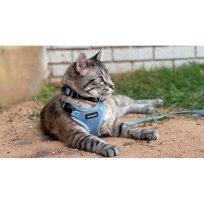 Alternative view of Voyager Step-in Lock Pet Harness All Weather Mesh, Adjustable Step in Harness for Cats and Dogs by Best Pet Supplies