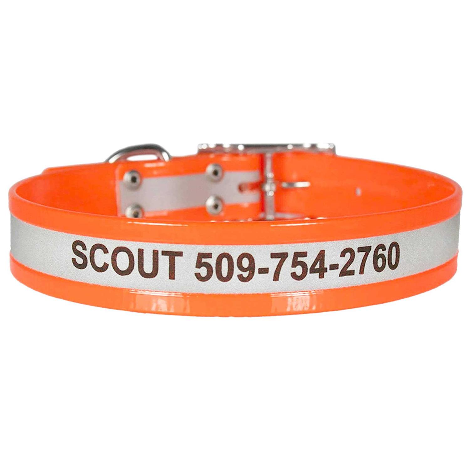 GoTags Adjustable Nameplate Personalized Dog Collar