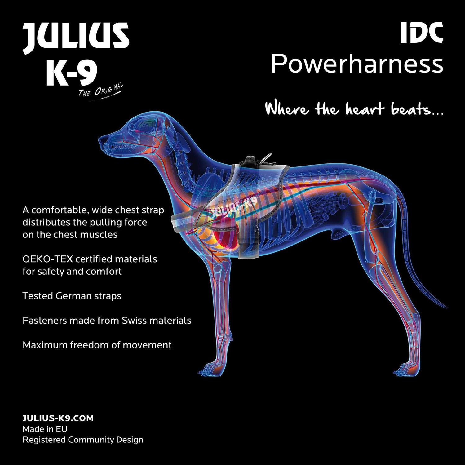 Alternative view of Julius-K9 IDC-Powerharness