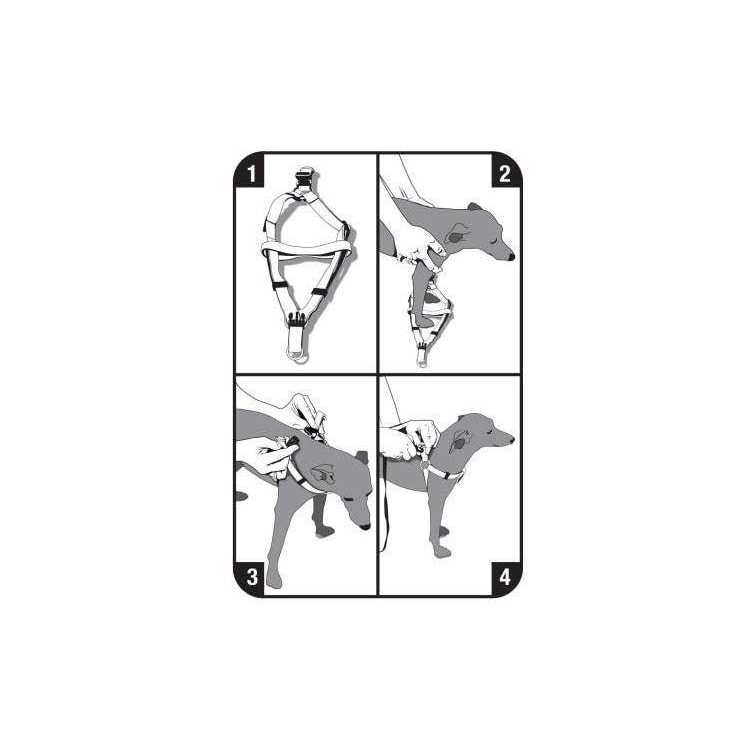 Alternative view of Vibrant Life Step-In Dog Harness