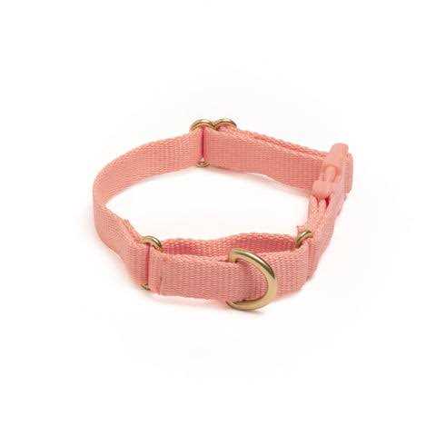 Alternative view of Awoo Marty Martingale Dog Collar
