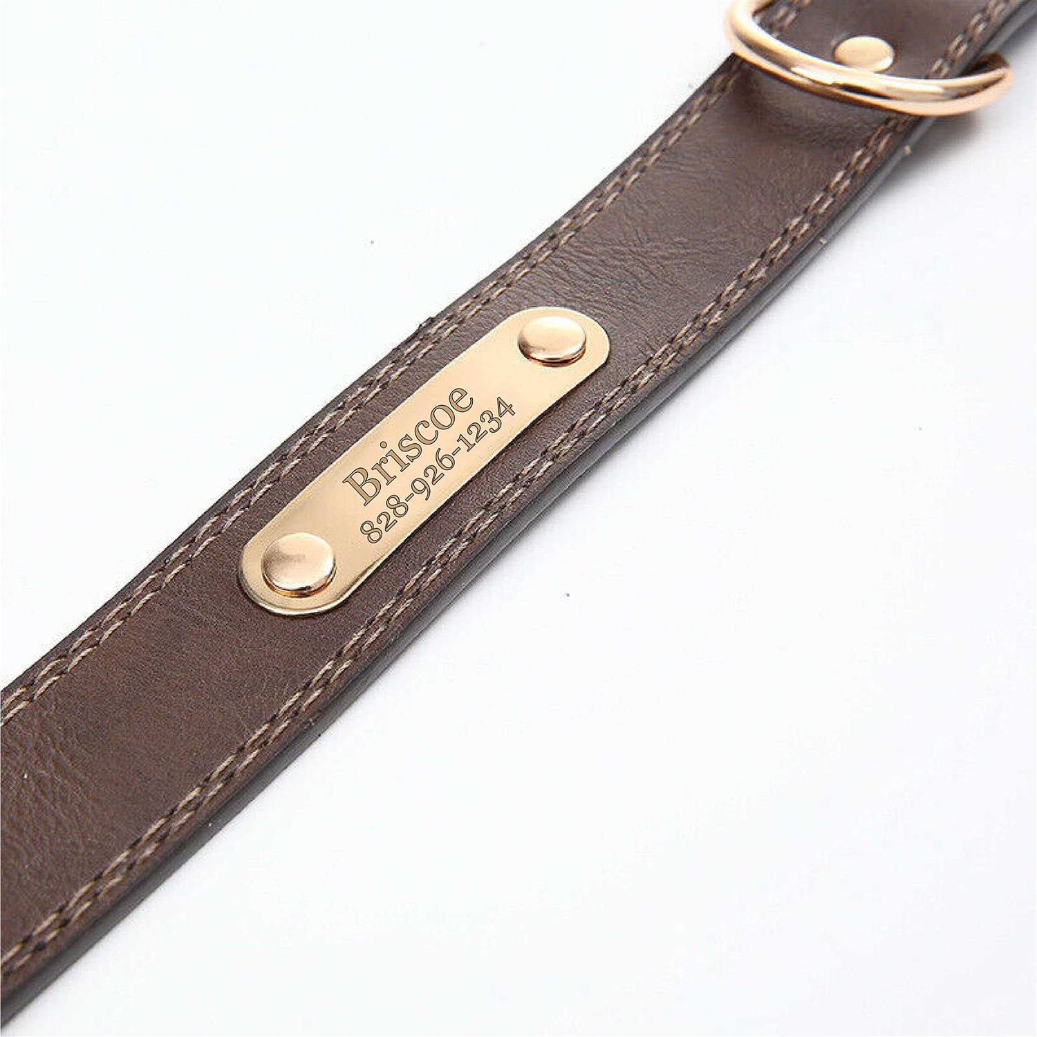 Alternative view of Express Pencils Personalized Dog Collar Engraved Soft Leather Custom Small