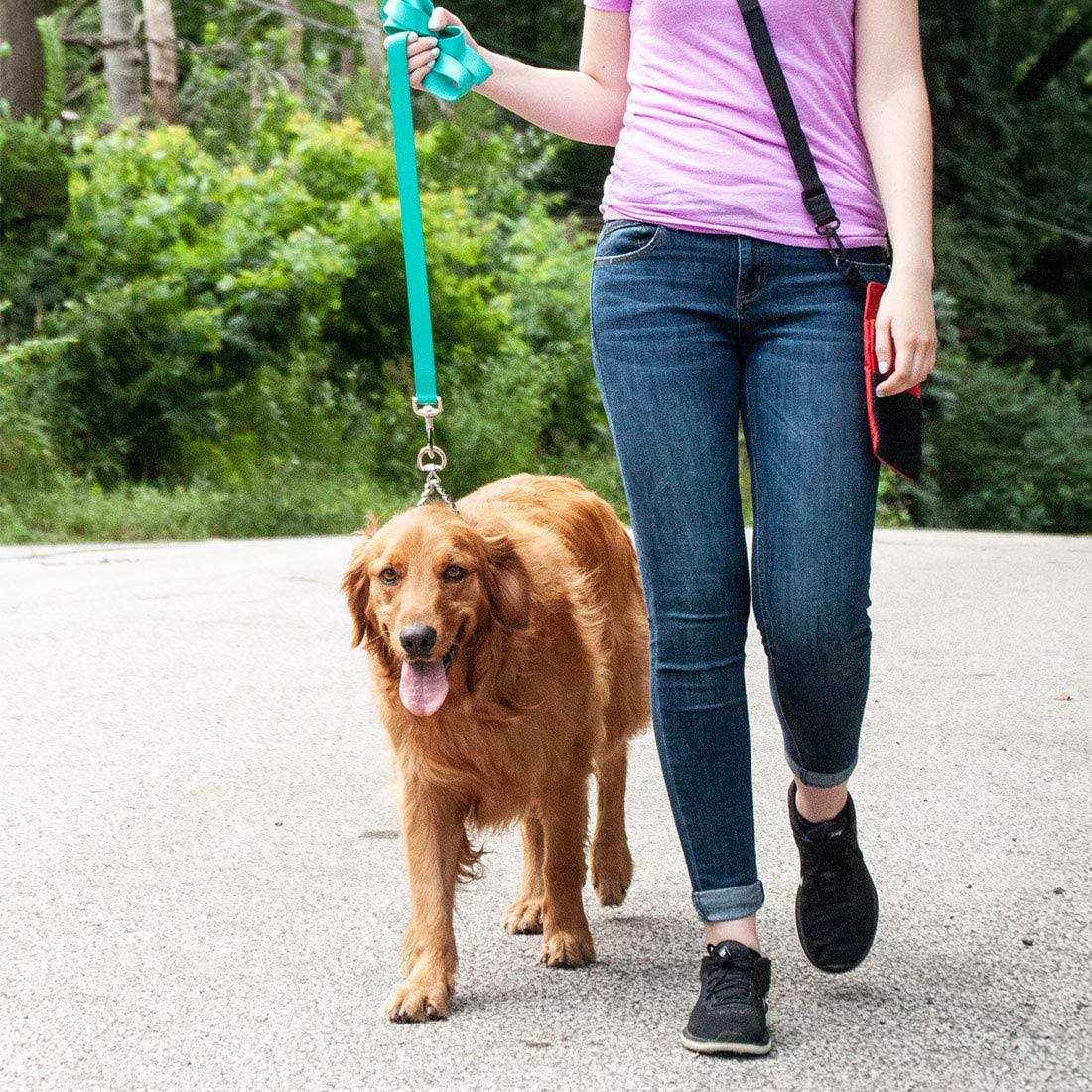 Alternative view of Herm Sprenger Ultra-Plus Dog Prong Training Collar