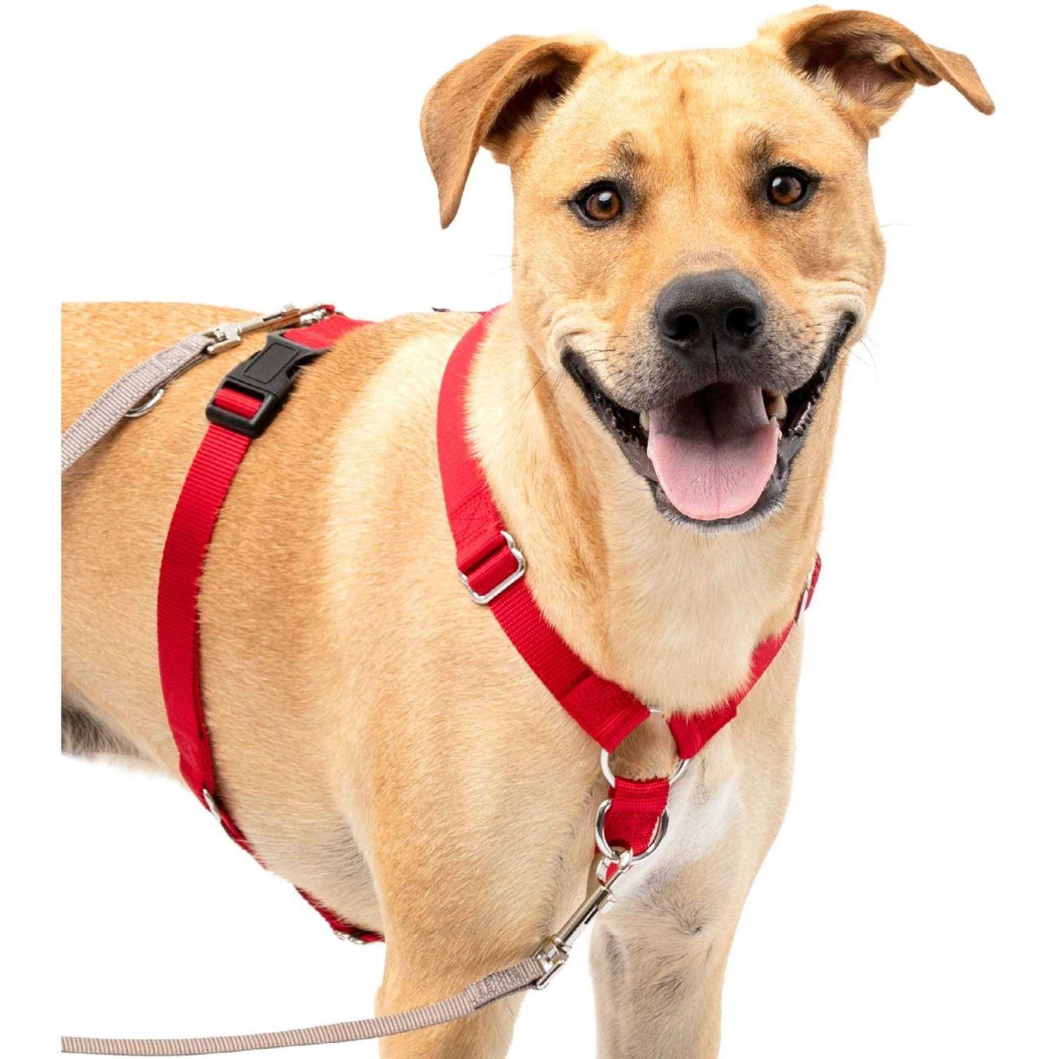 PetSafe Sure-Fit Harness