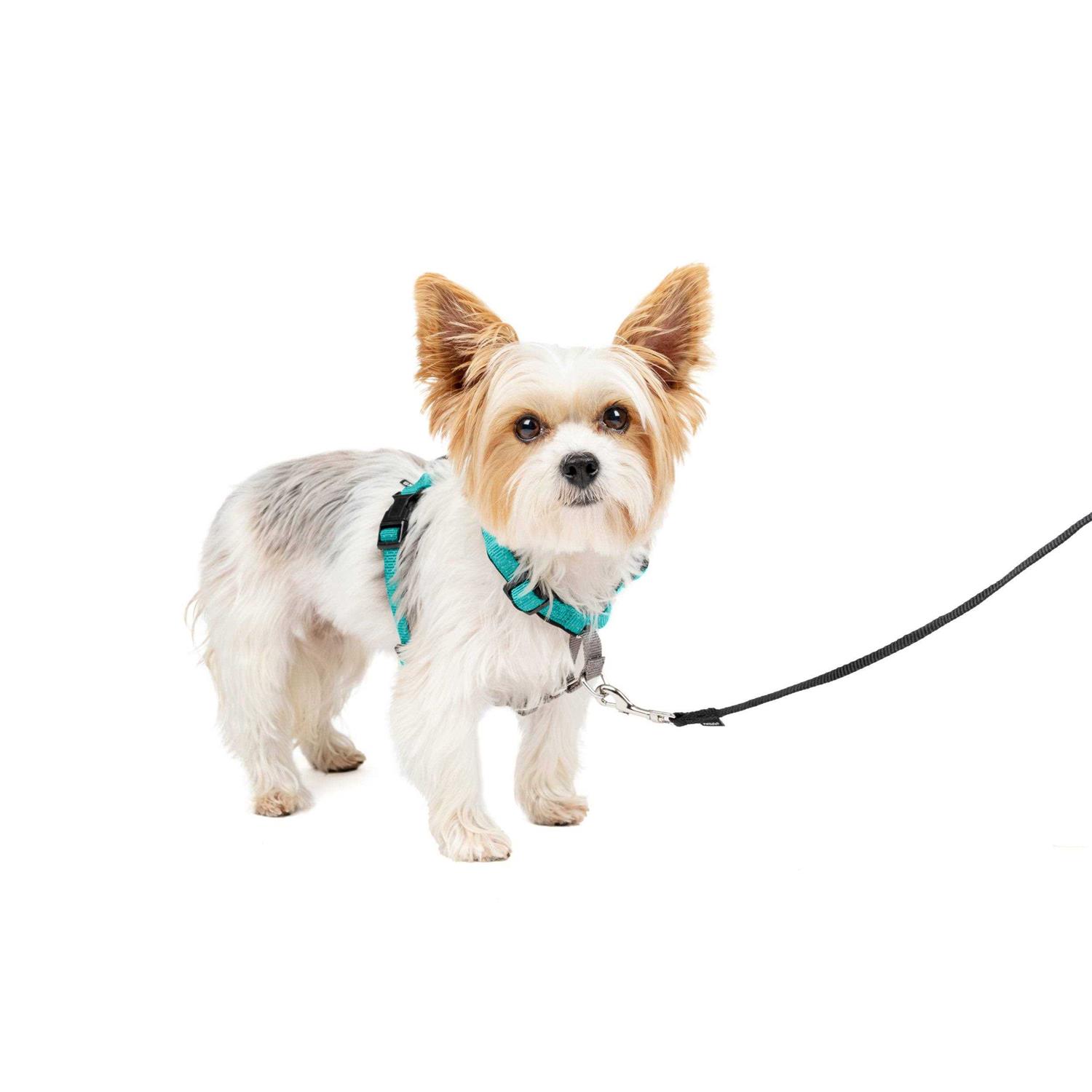 Alternative view of PetSafe 3 in 1 Harness