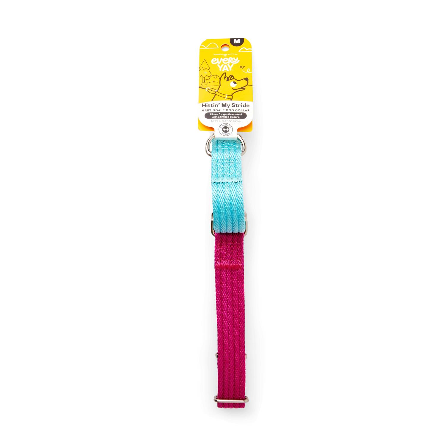 EveryYay Martingale Teal Dog Collar