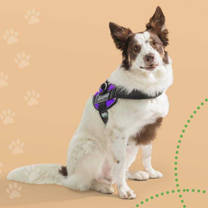 Alternative view of Joyride Harness No Pull Easy On-Off Dog Harness