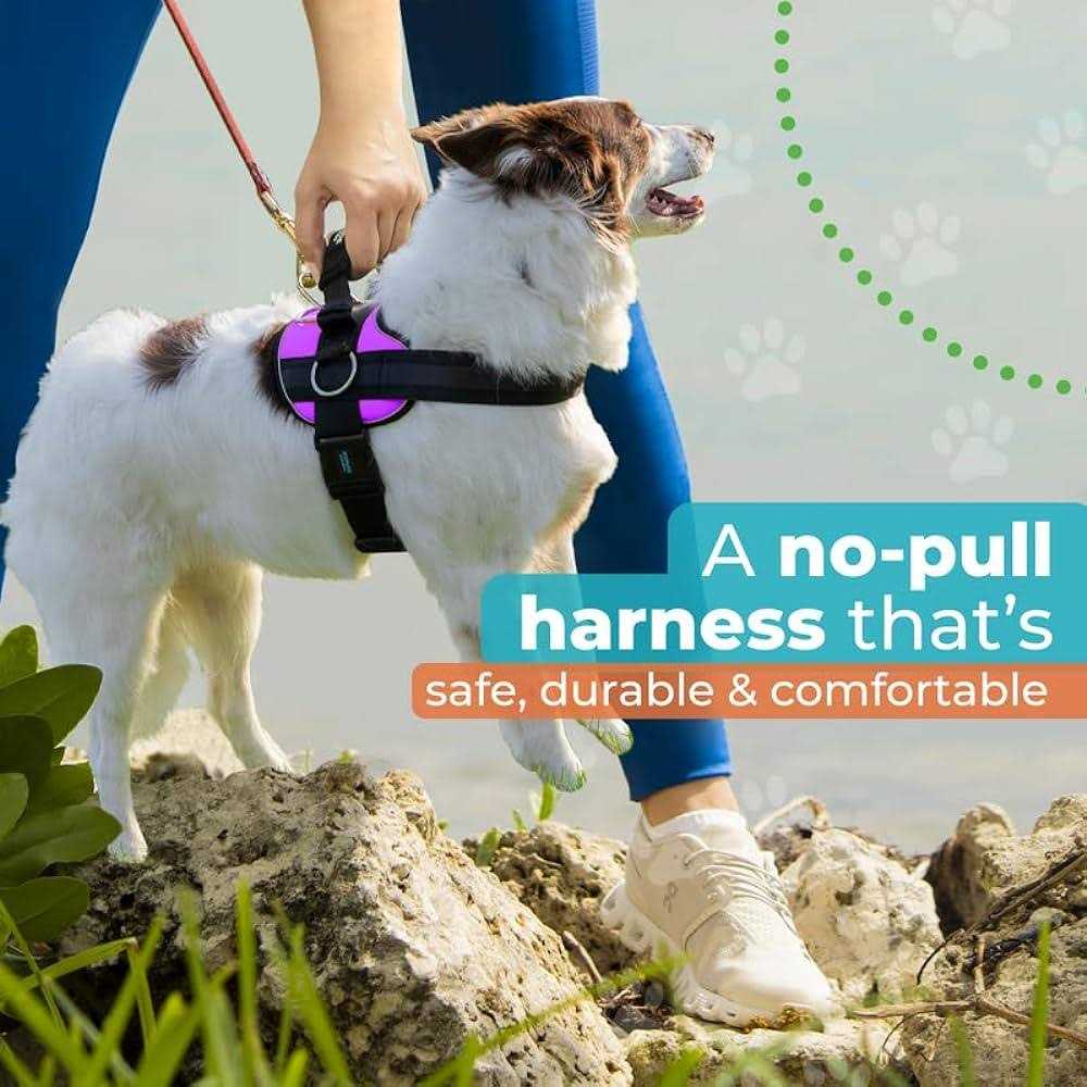 Alternative view of Joyride Harness No Pull Easy On-Off Dog Harness