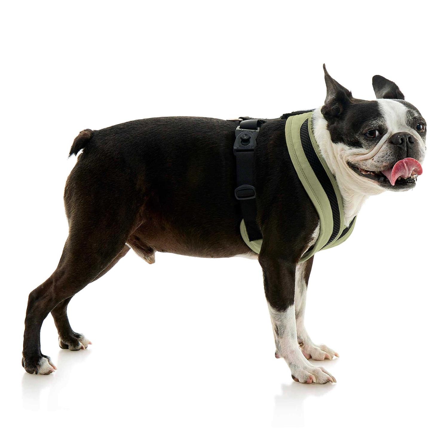 Alternative view of Gooby Escape Free Comfort X One Dog Harness