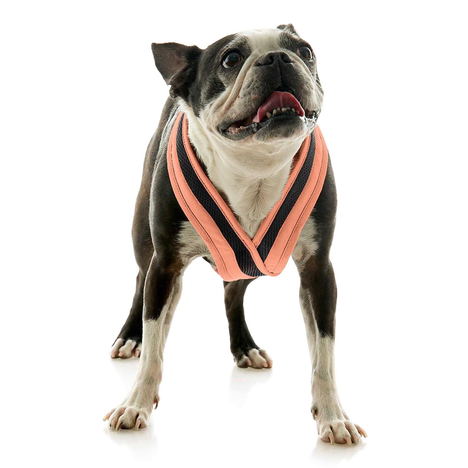 Alternative view of Gooby Escape Free Comfort X One Dog Harness