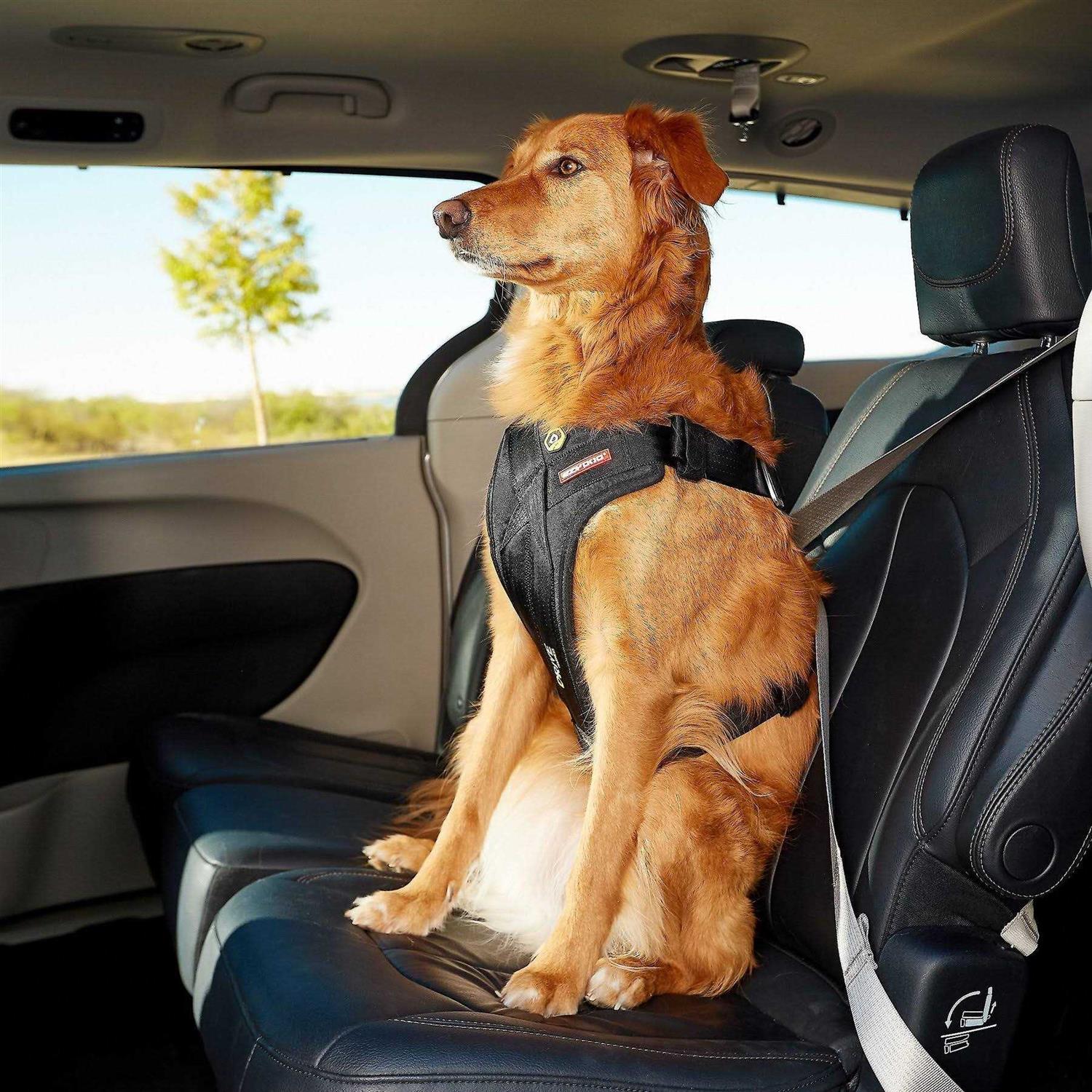 Alternative view of EzyDog Drive Dog Car Harness