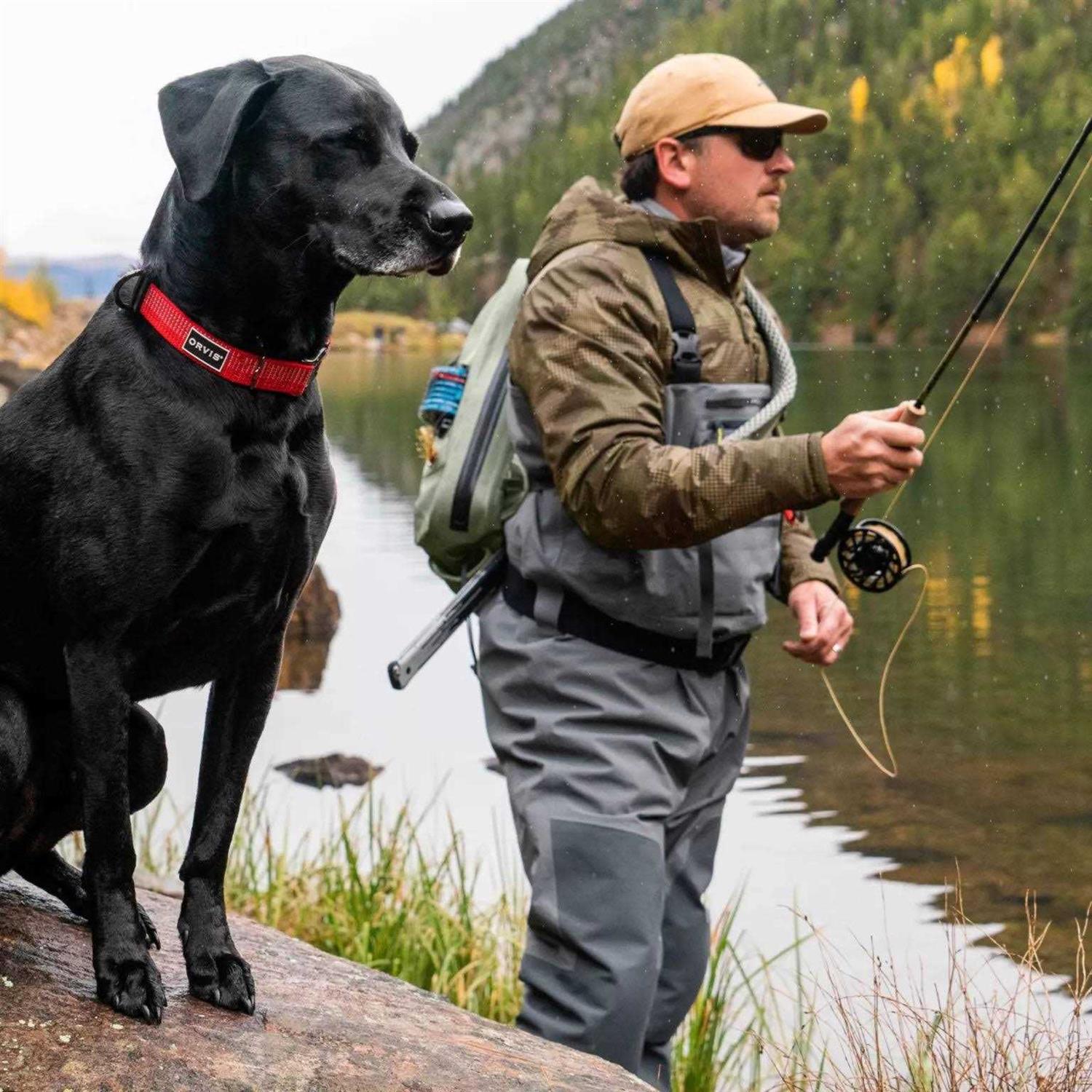 Alternative view of Orvis Tough Trail Dog Collar