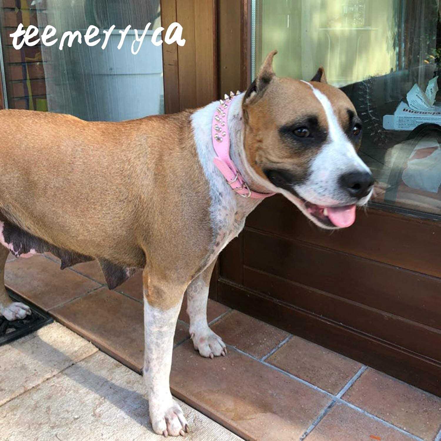 Alternative view of Teemerryca Adjustable Leather Spiked Studded Dog Collars with a Squeak Ball Gift for Small Medium Large Pets Like Cats/Pit Bull/Bulldog
