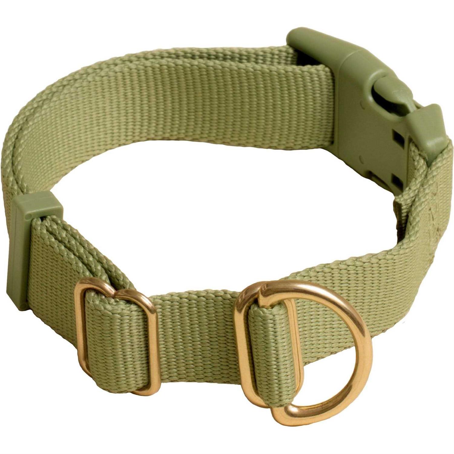 Awoo Pack Standard Dog Collar