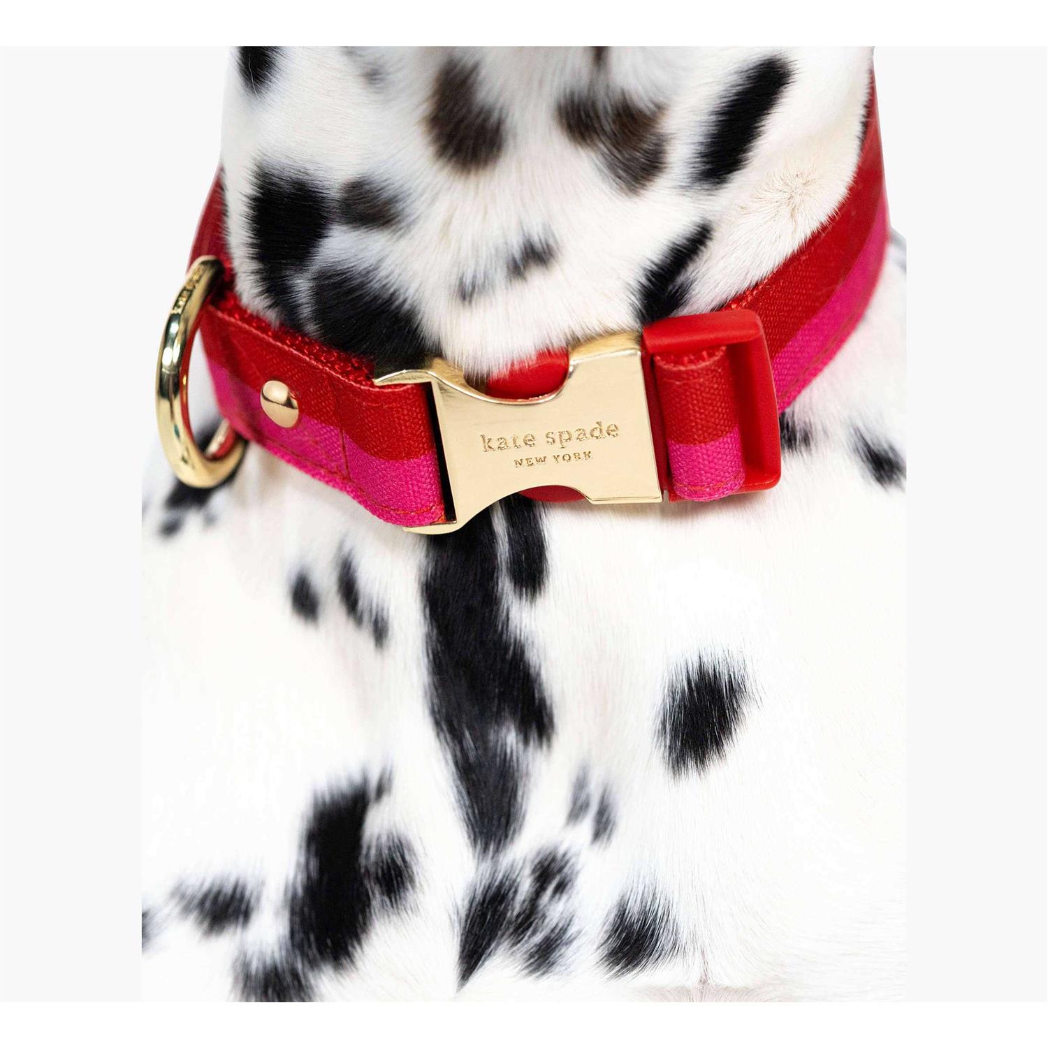 Alternative view of Kate Spade New York Red/Pink Colorblock Dog Collar