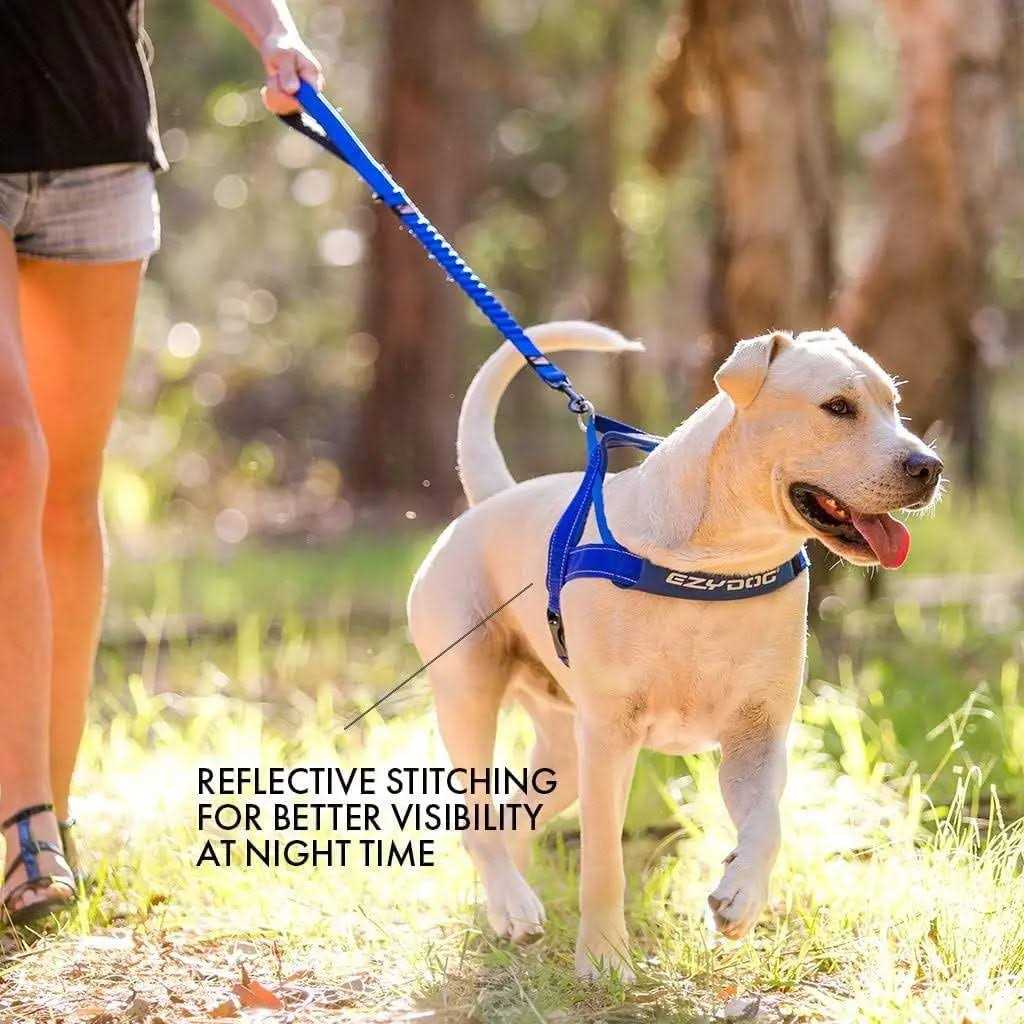 Alternative view of EzyDog Quick Fit Dog Harness
