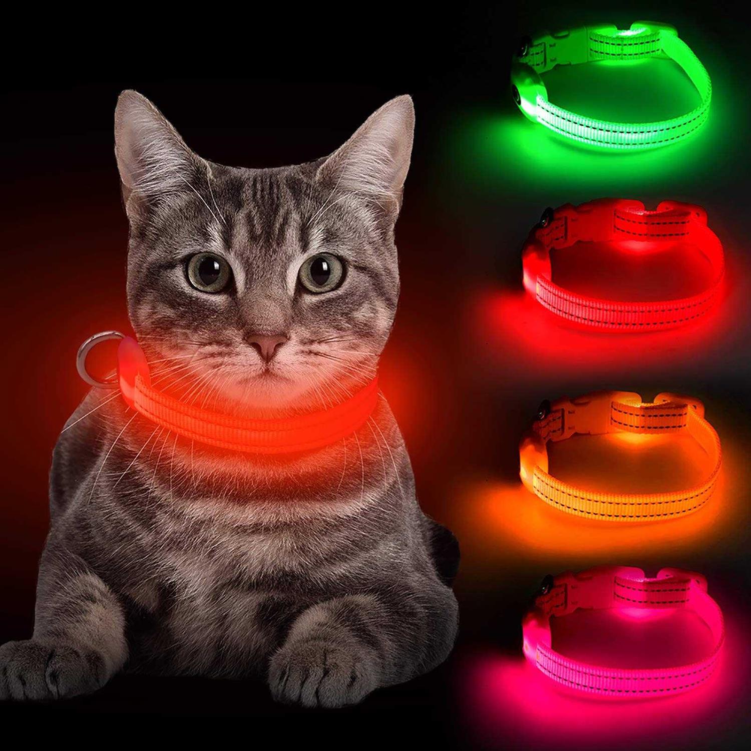 BSEEN Light Dog Collars Rechargeable LED Dog Collar Collar