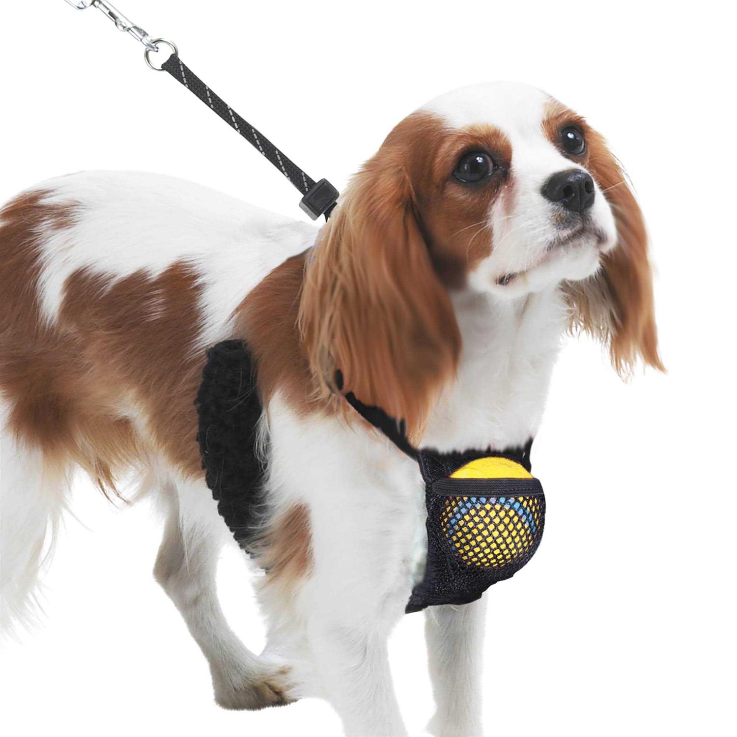 Sporn Nylon Mesh Non-Pulling Dog Harness