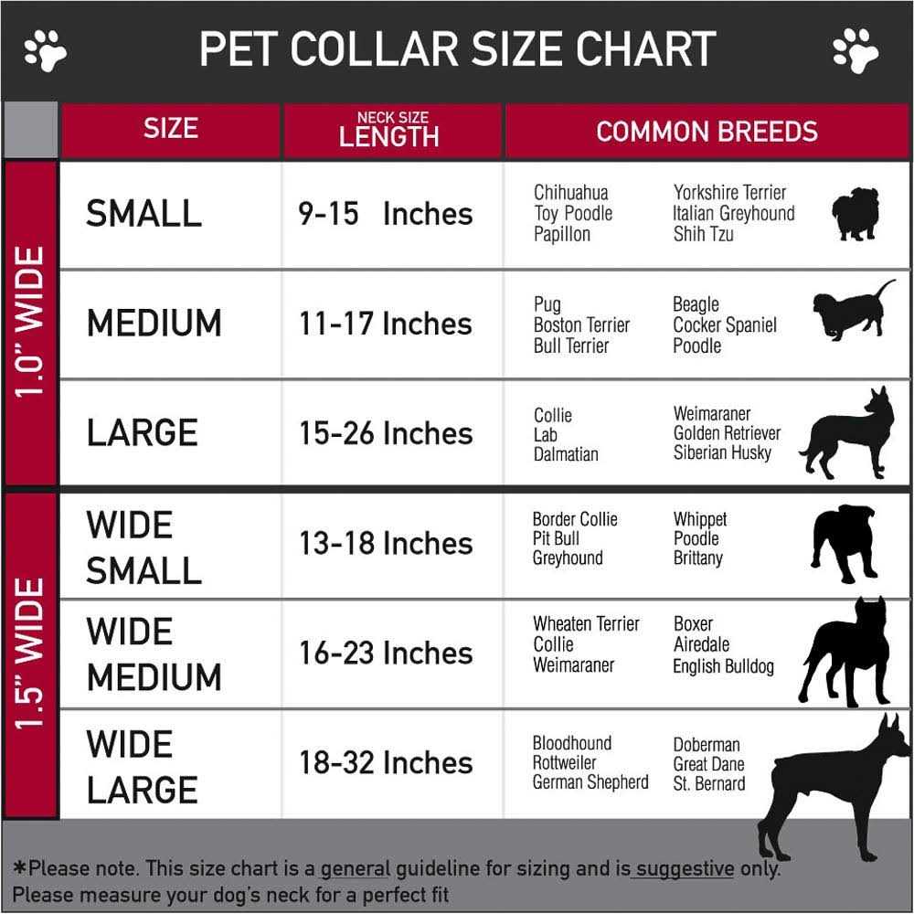 Alternative view of Buckle-Down Buckle Seatbelt Dog Collar
