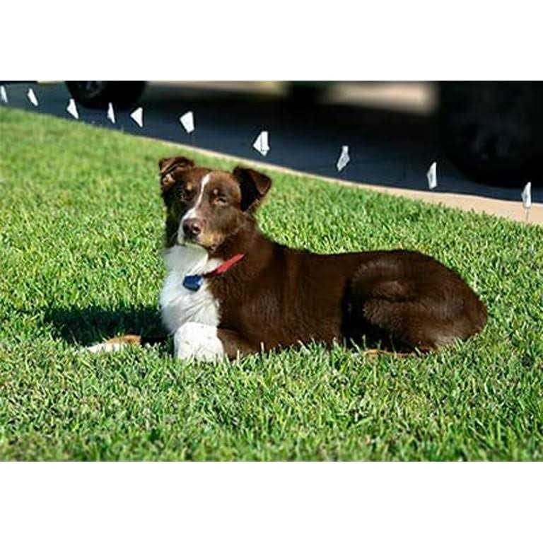 Alternative view of Extreme Dog Fence Dog Collar Replacement Strap Compatible with Nearly All Brands and Models of Underground Dog Fences