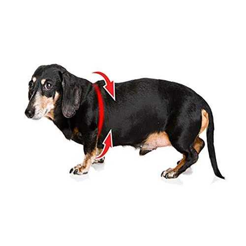 Alternative view of Buddy Belts Buddy Harness Pebble Grain