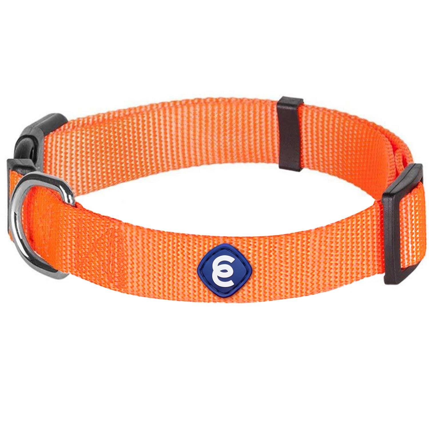 Blueberry Pet Classic Dog Collar