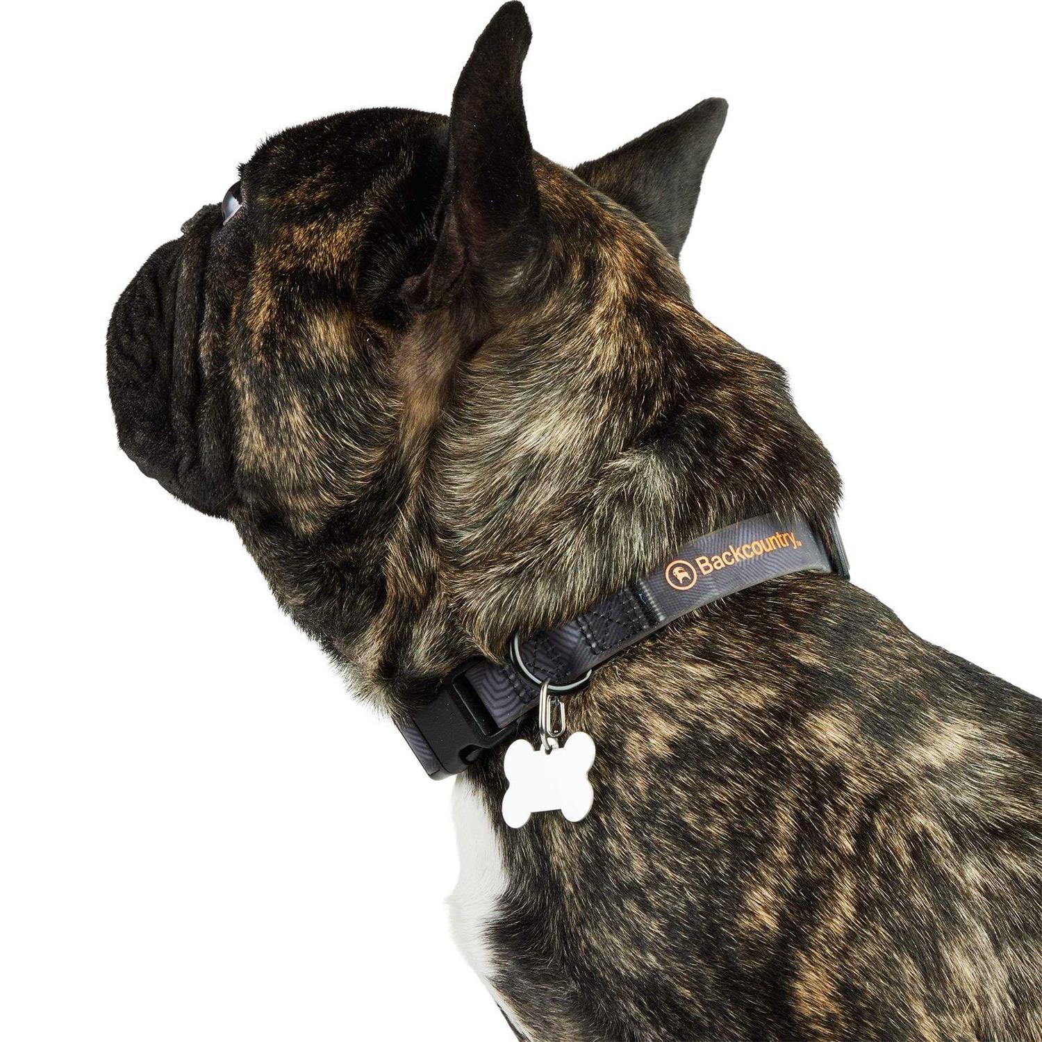 Alternative view of Backcountry x Petco The Dog Collar