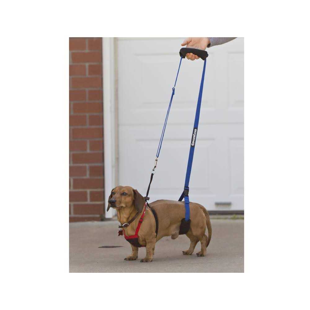 Alternative view of GingerLead Dog Support Rehabilitation Harness