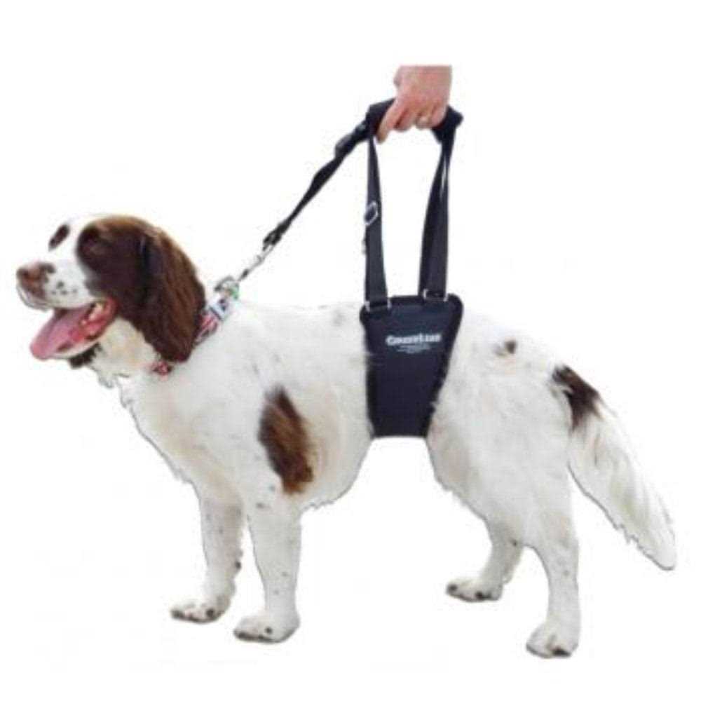 Alternative view of GingerLead Dog Support Rehabilitation Harness