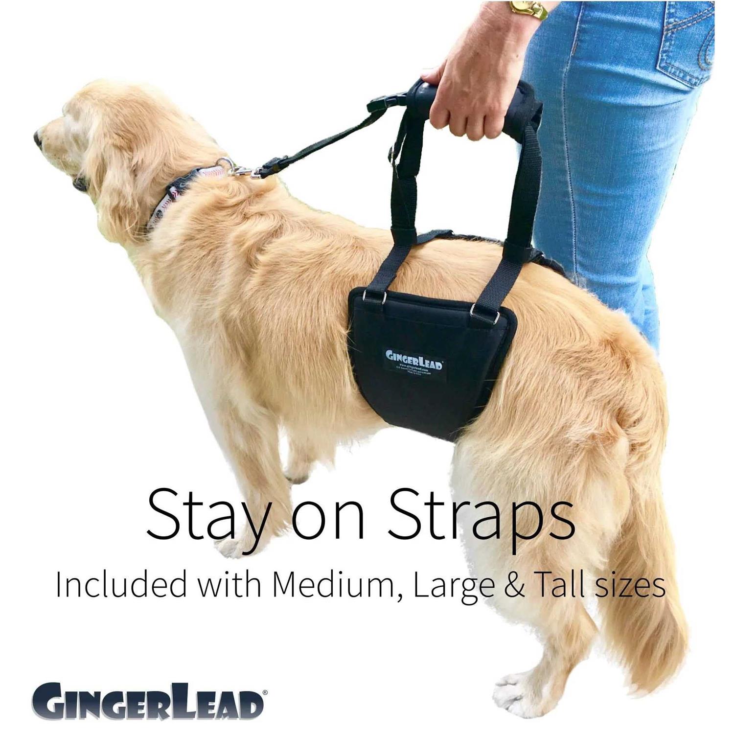 Alternative view of GingerLead Dog Support Rehabilitation Harness