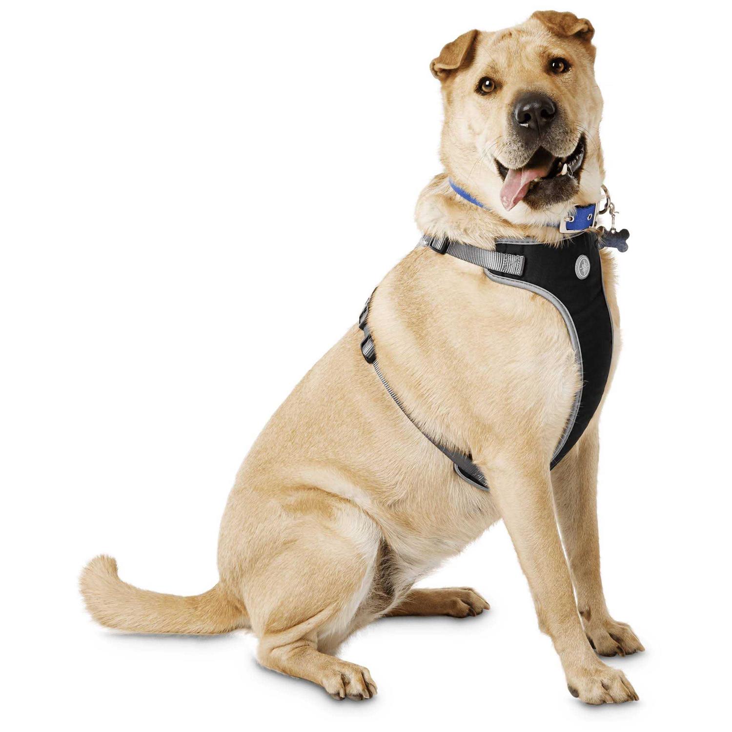 Alternative view of Youly The Classic Black Harness for Large Dog