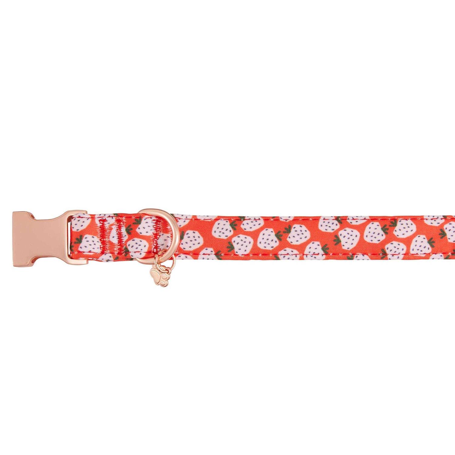 Top Paw Neoprene Adjustable Dog Collar