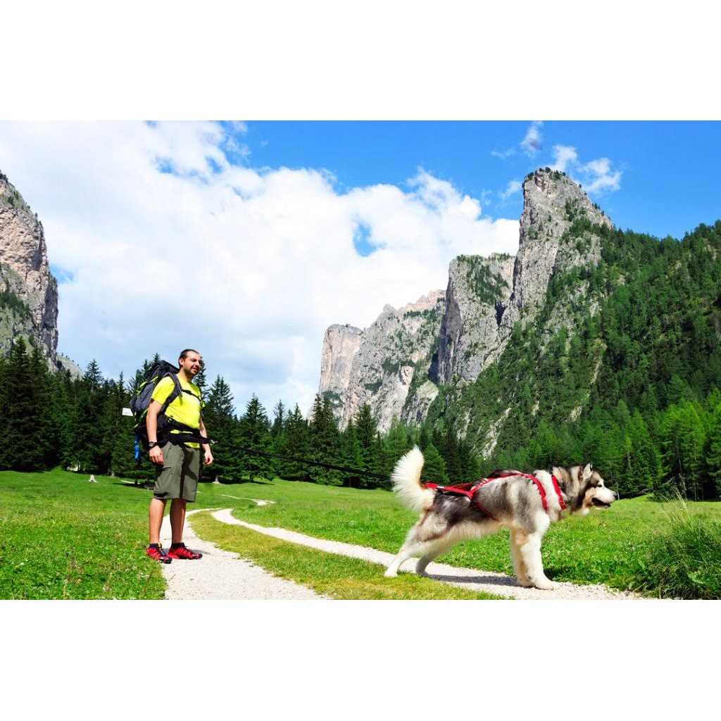 Alternative view of Neewa Sled Pro Harness Dog Pulling Harness Husky Harness