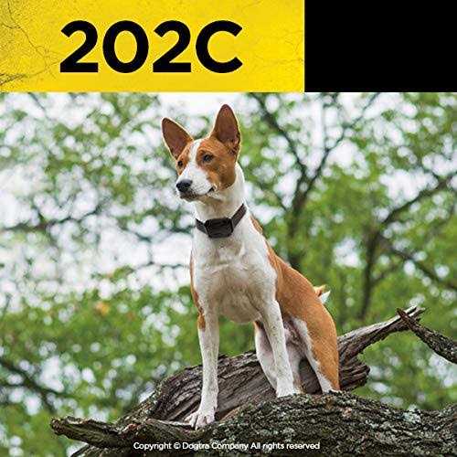 Alternative view of Dogtra Remote Training Collar 2-Dog 202C