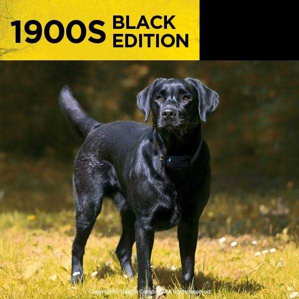 Alternative view of Dogtra 1900S Black Edition 1 Mile Remote Trainer