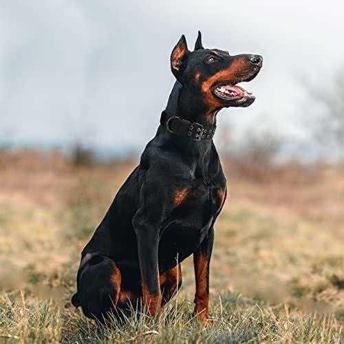 Alternative view of Tactical Dog Collar Military Dog Collar Nylon Adjustable Training Dog Collar Heavy Duty Metal Buckle for Medium Large Dogs