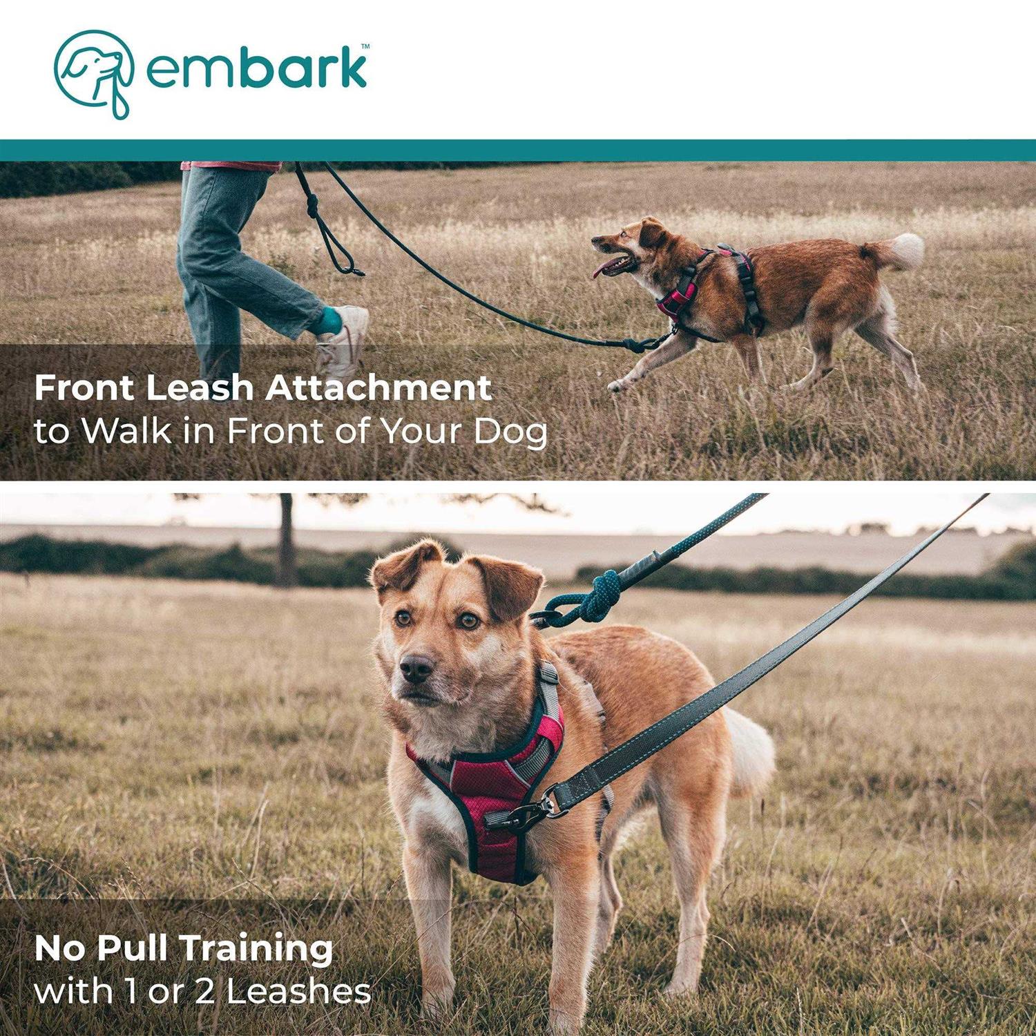 Alternative view of Embark Pets Embark Adventure Dog Harness No-Pull Dog Small Dogs Leash