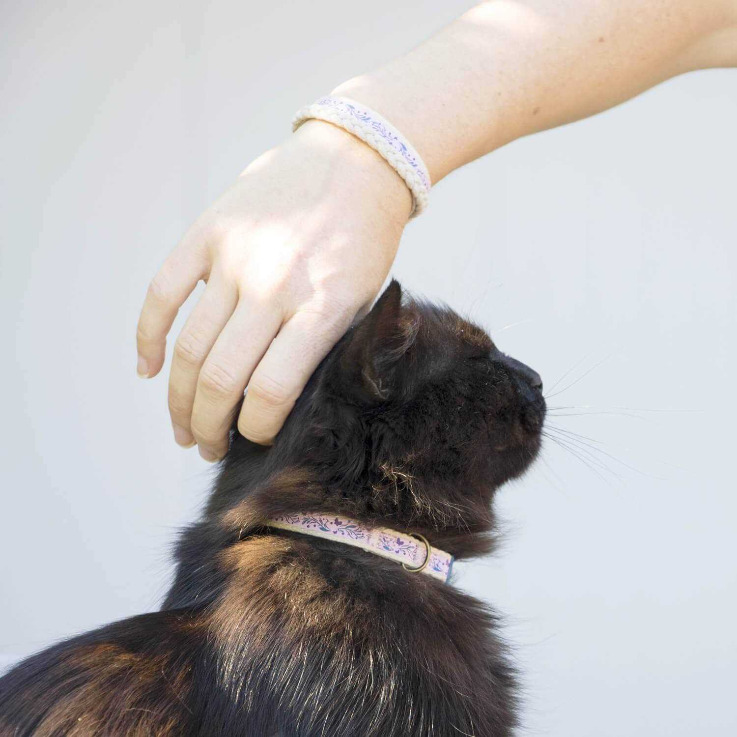 Alternative view of Pettsie Cat Collar Breakaway Friendship Bracelet