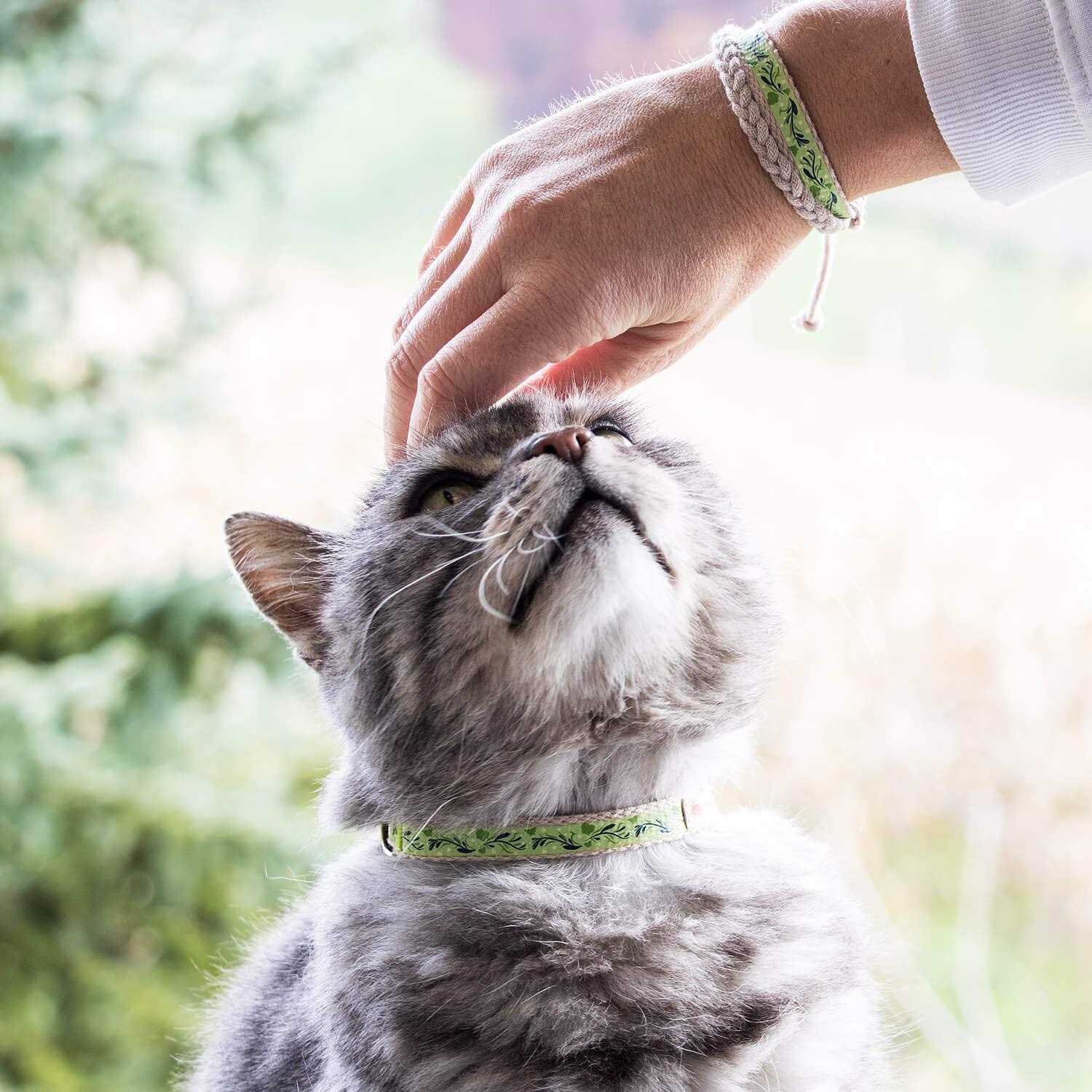 Alternative view of Pettsie Cat Collar Breakaway Friendship Bracelet
