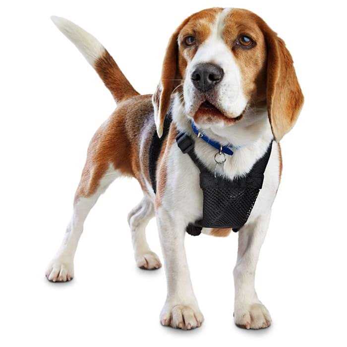 EveryYay Embrace The Pace Black No Pull Dog Harness