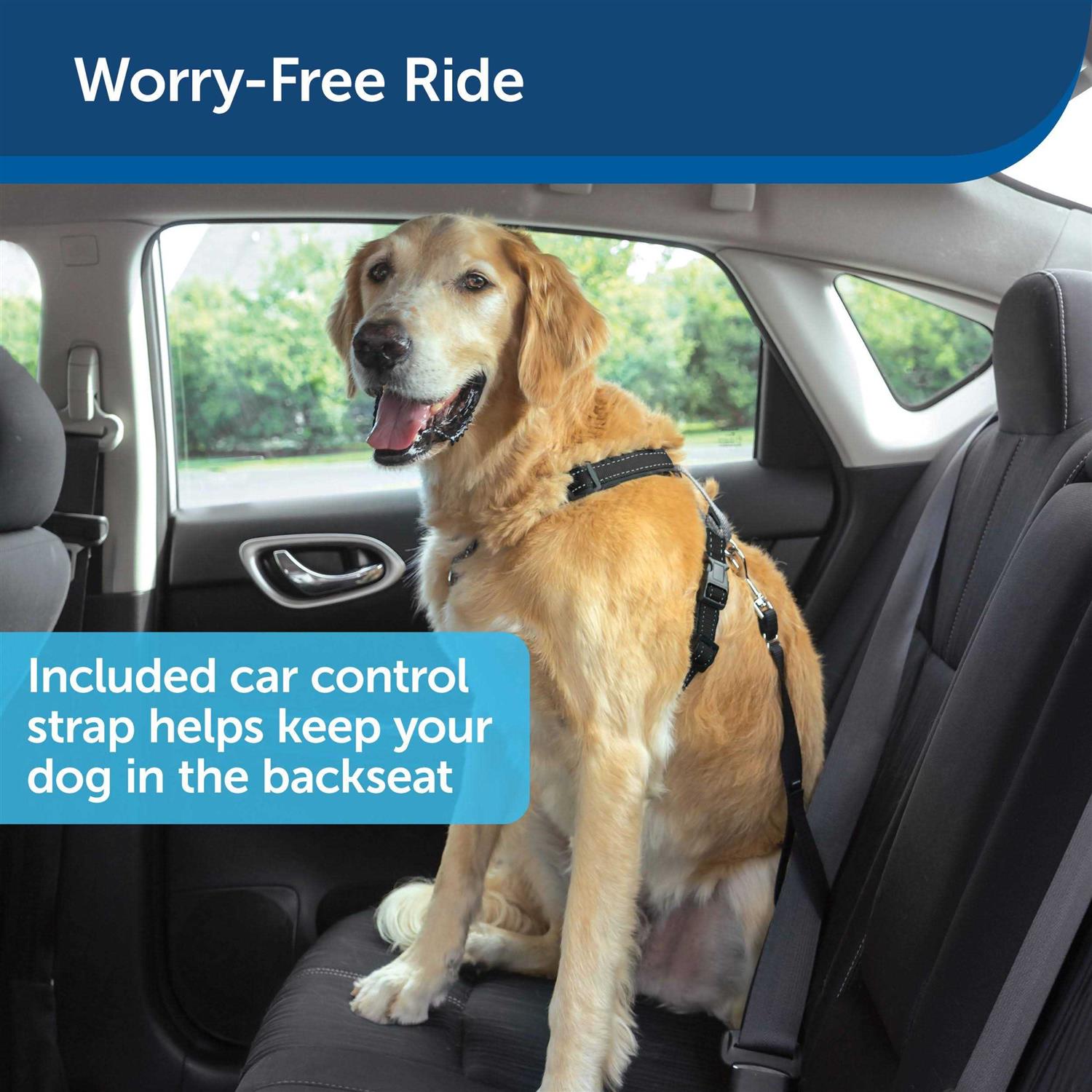 Alternative view of PetSafe 3 in 1 Harness with Two Point Control Leash