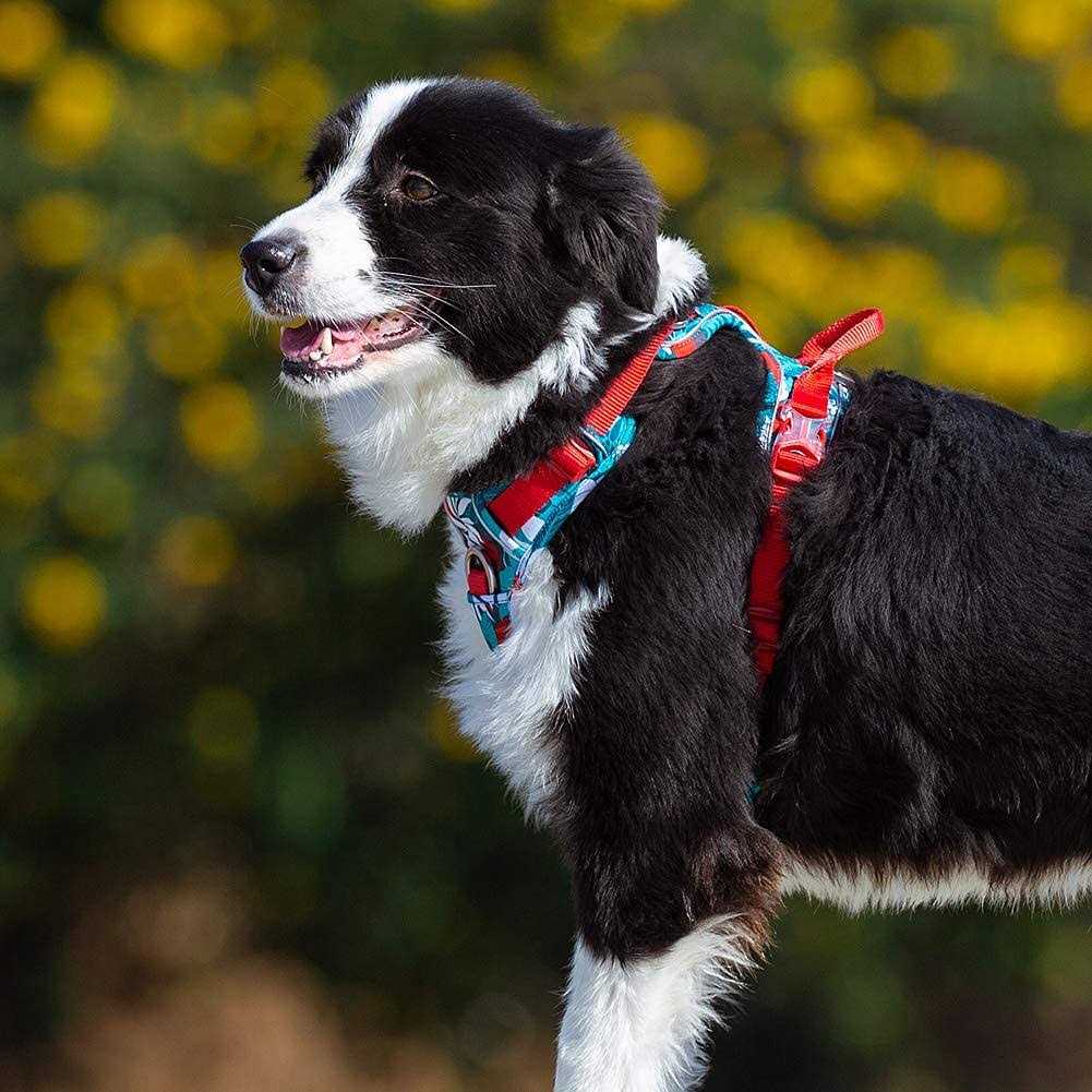 Alternative view of Chai's Choice Premium Tropic Thunder Edition Dog Harness No Pull Dog Harness with Quick-Release Neck Strap for All Sized Dogs