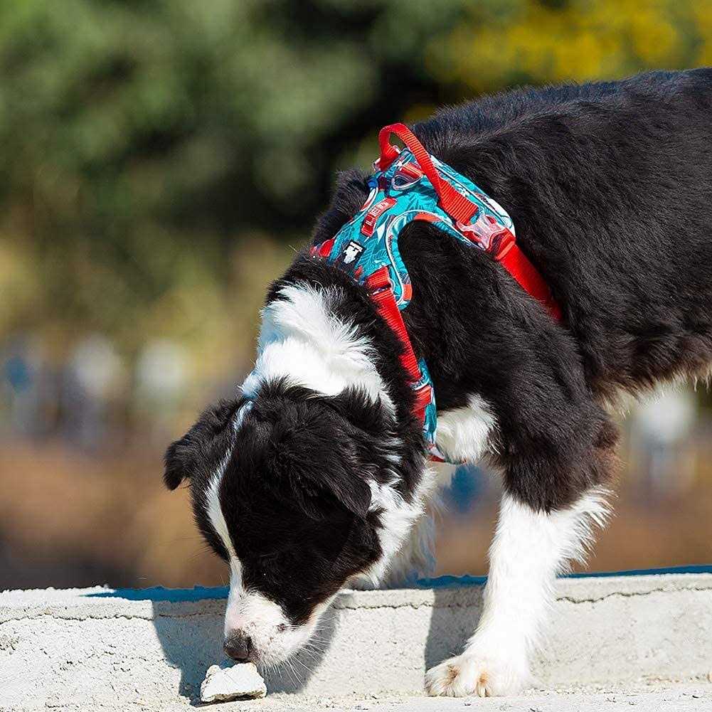 Alternative view of Chai's Choice Premium Tropic Thunder Edition Dog Harness No Pull Dog Harness with Quick-Release Neck Strap for All Sized Dogs