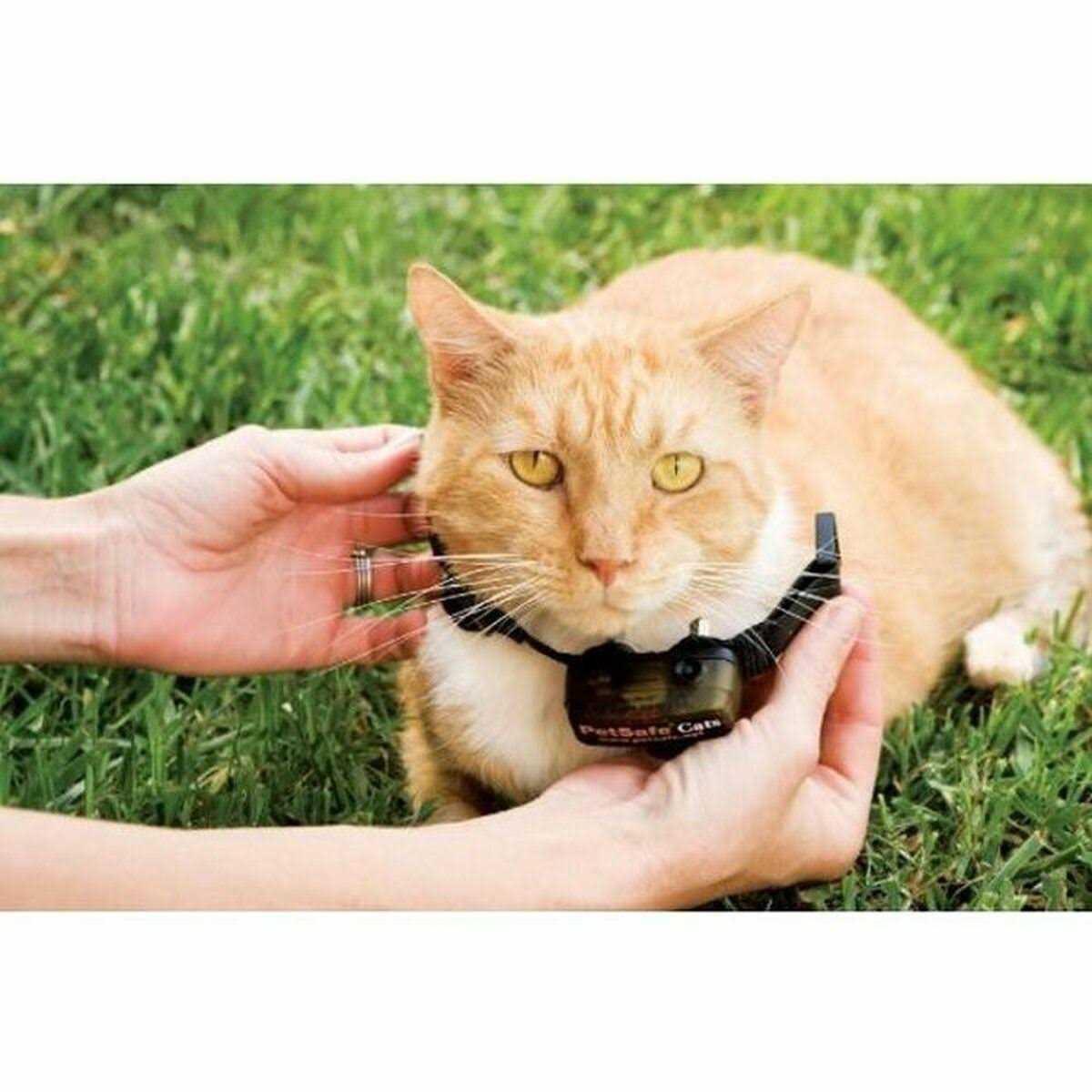 Alternative view of PetSafe In-Ground Cat Fence Receiver Collar